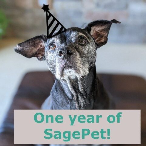 SagePet One Year Anniversary